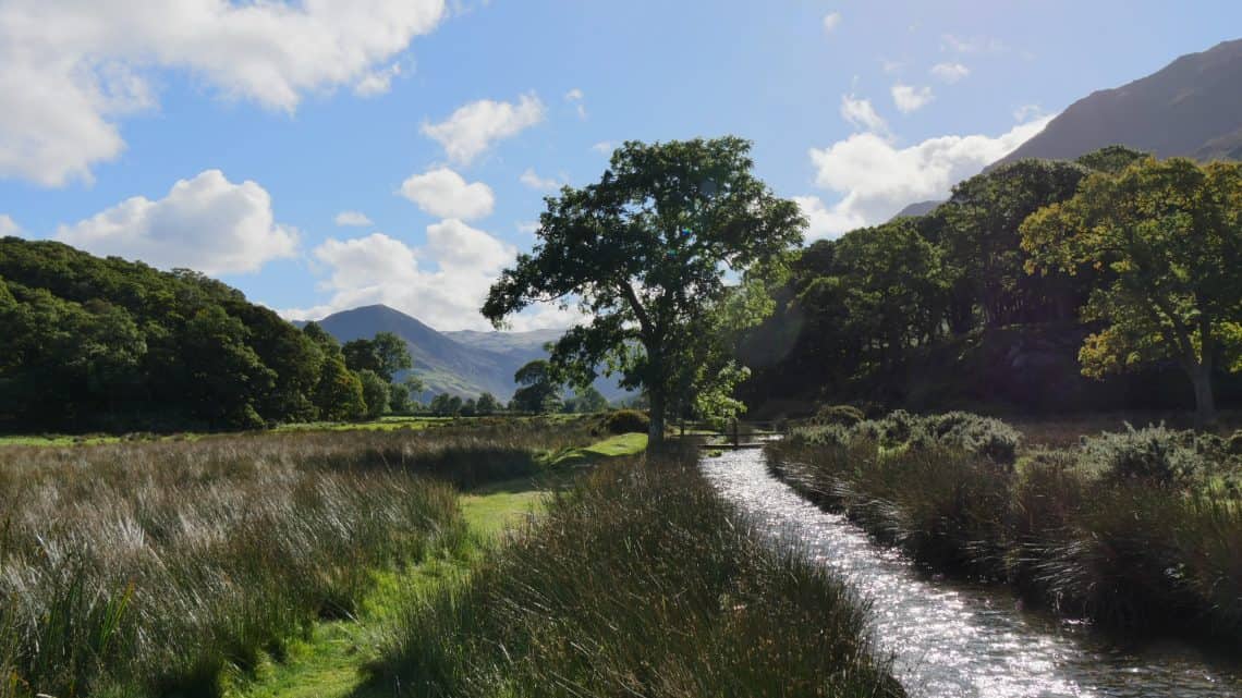 Stream running past a tree with mountains and blue sky behind in the Lake District