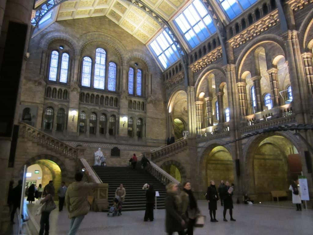 south-kensington-natural-history-museum