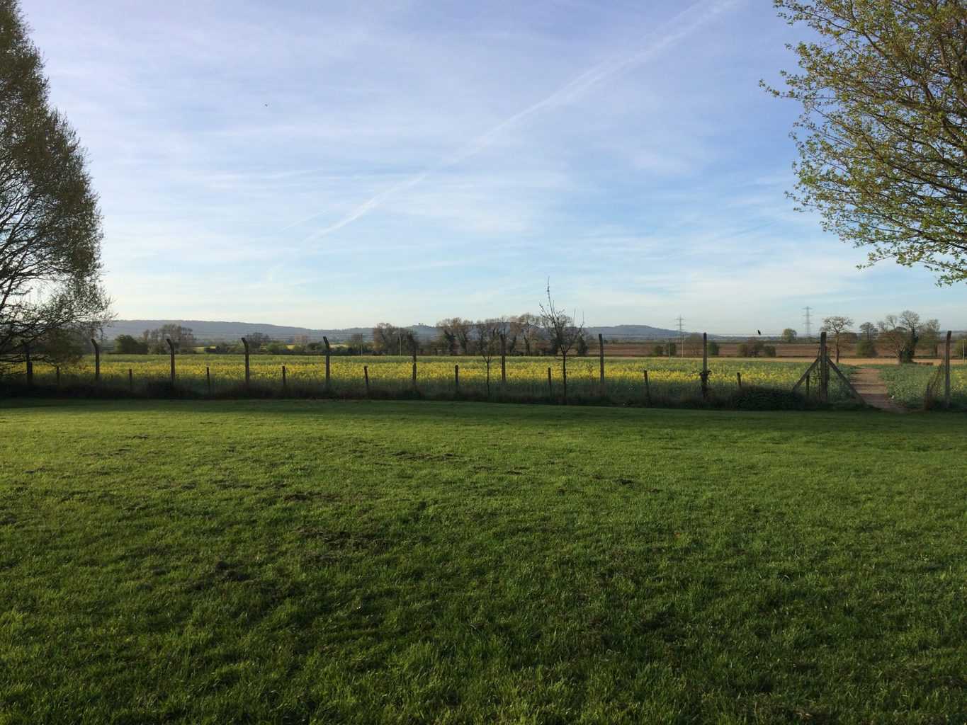 field in Buckinghamshire in the summer