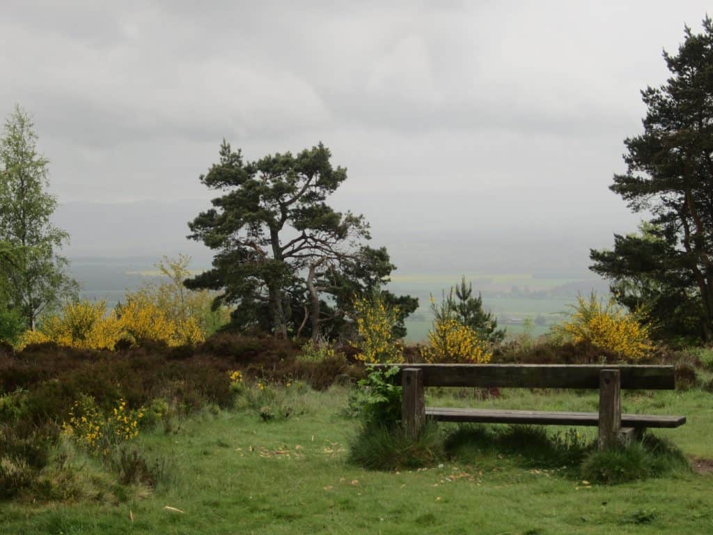 Bench in Scotland