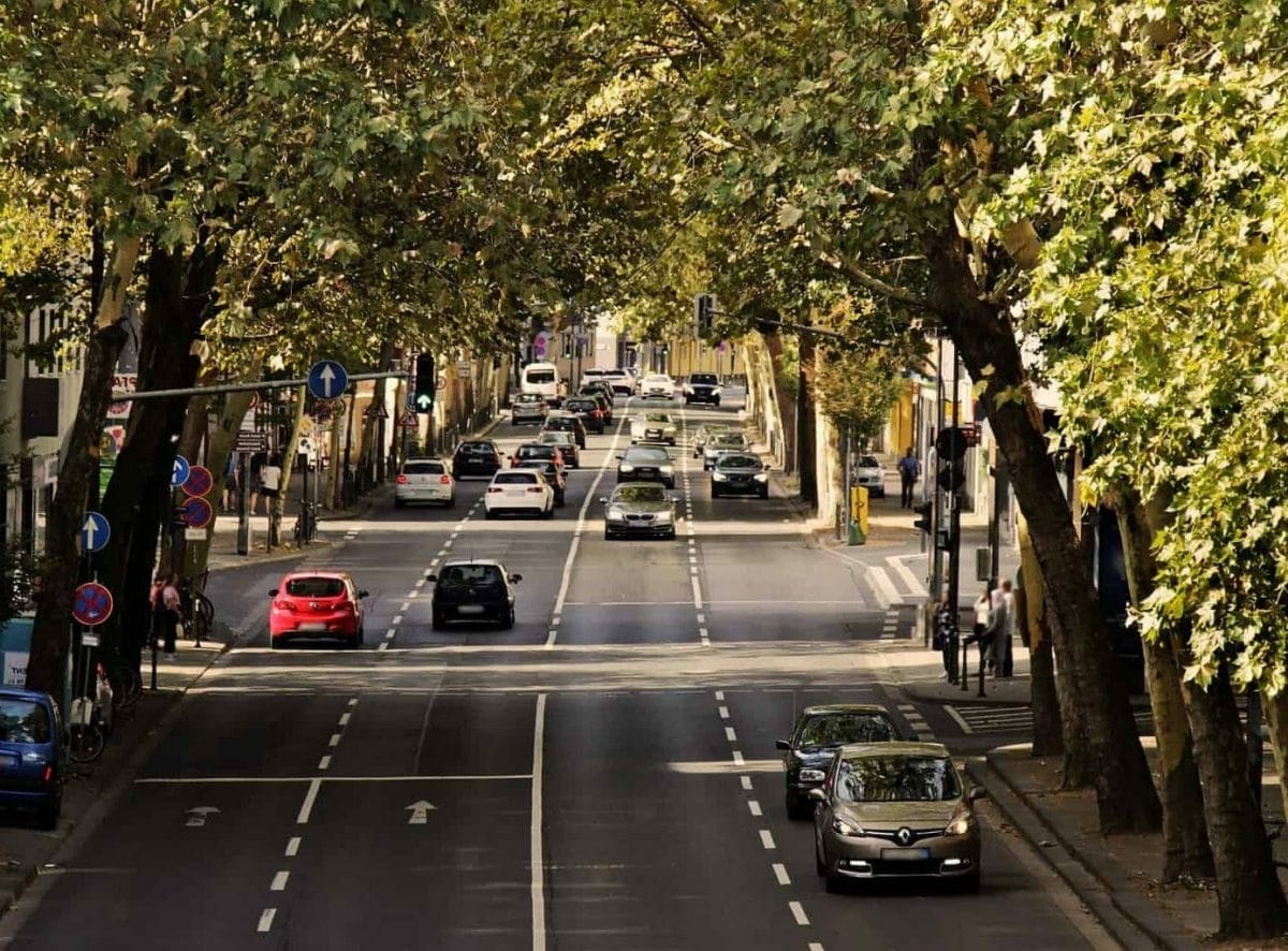 A tree lined street with cars in a city