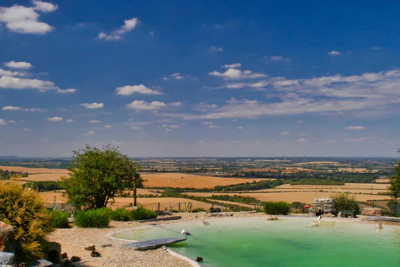 A penguin pool overlooking hills and fields