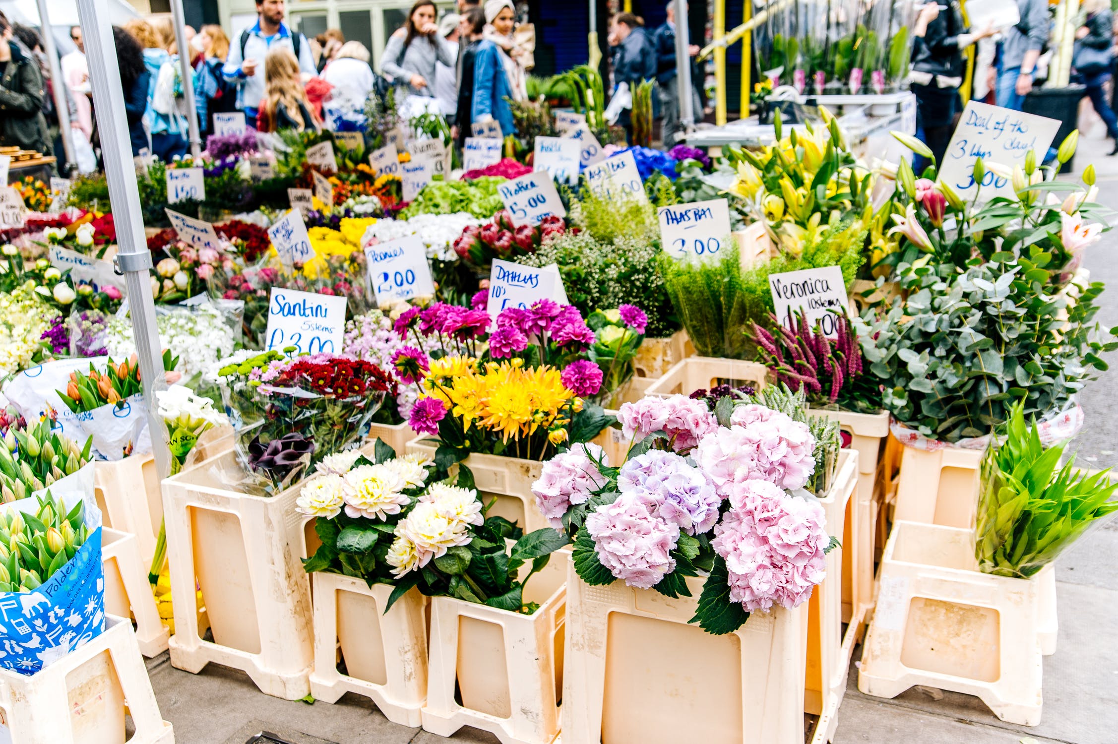 Flowers arranged in buckets at a flower market