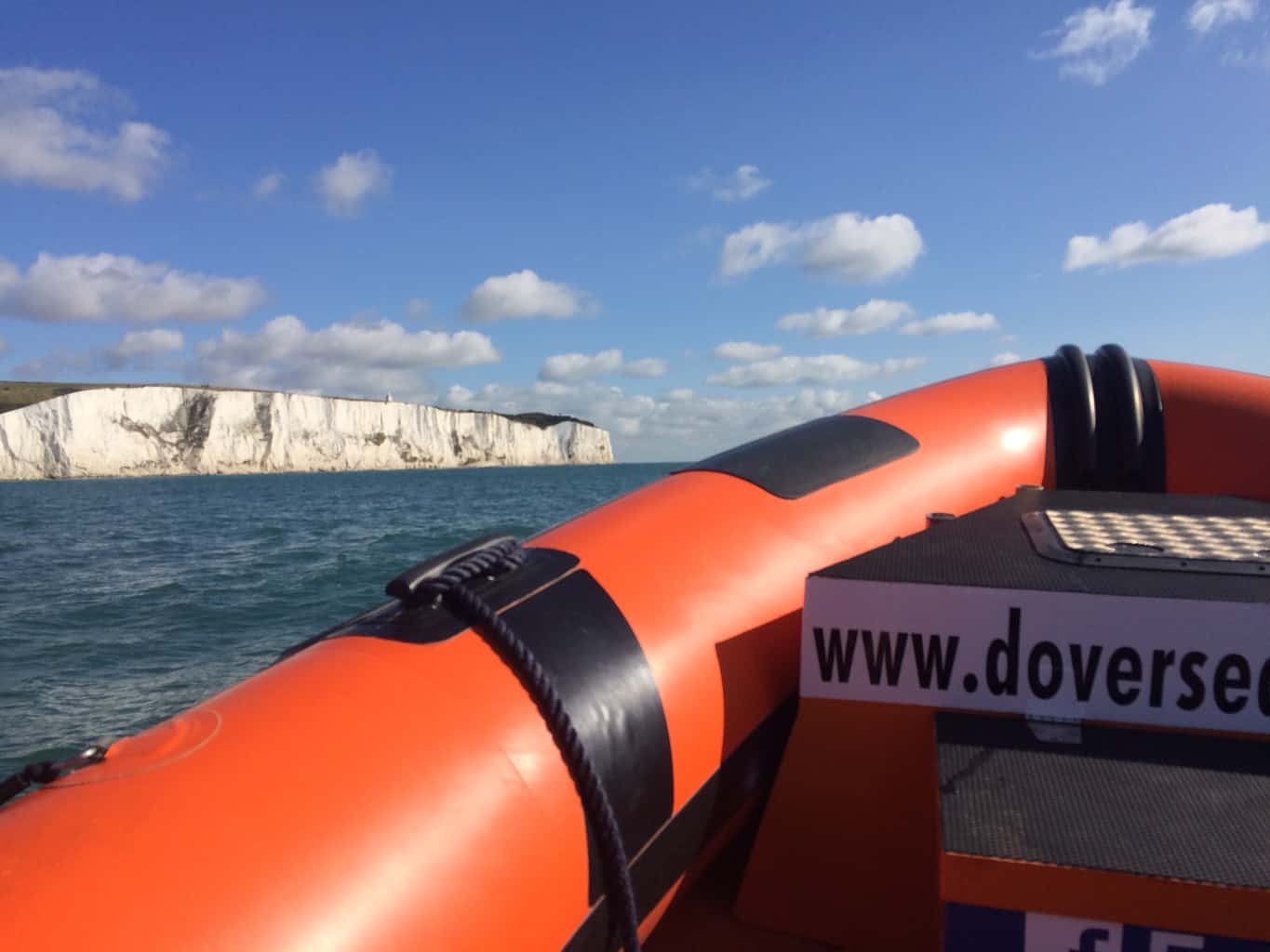 dover sea safari reviews