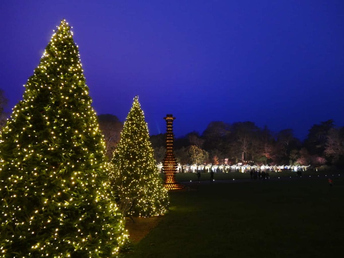 Christmas trees at night at Waddesdon Manor