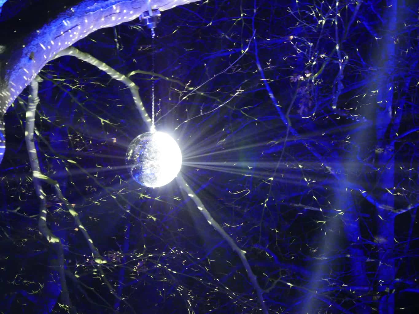 A disco ball shining on a tree at night