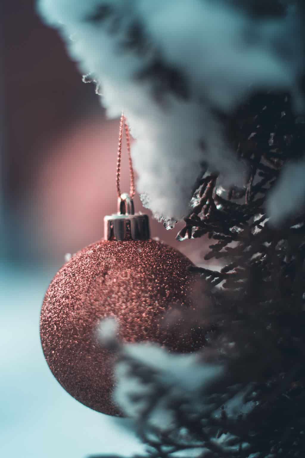 Ornament on a Christmas tree