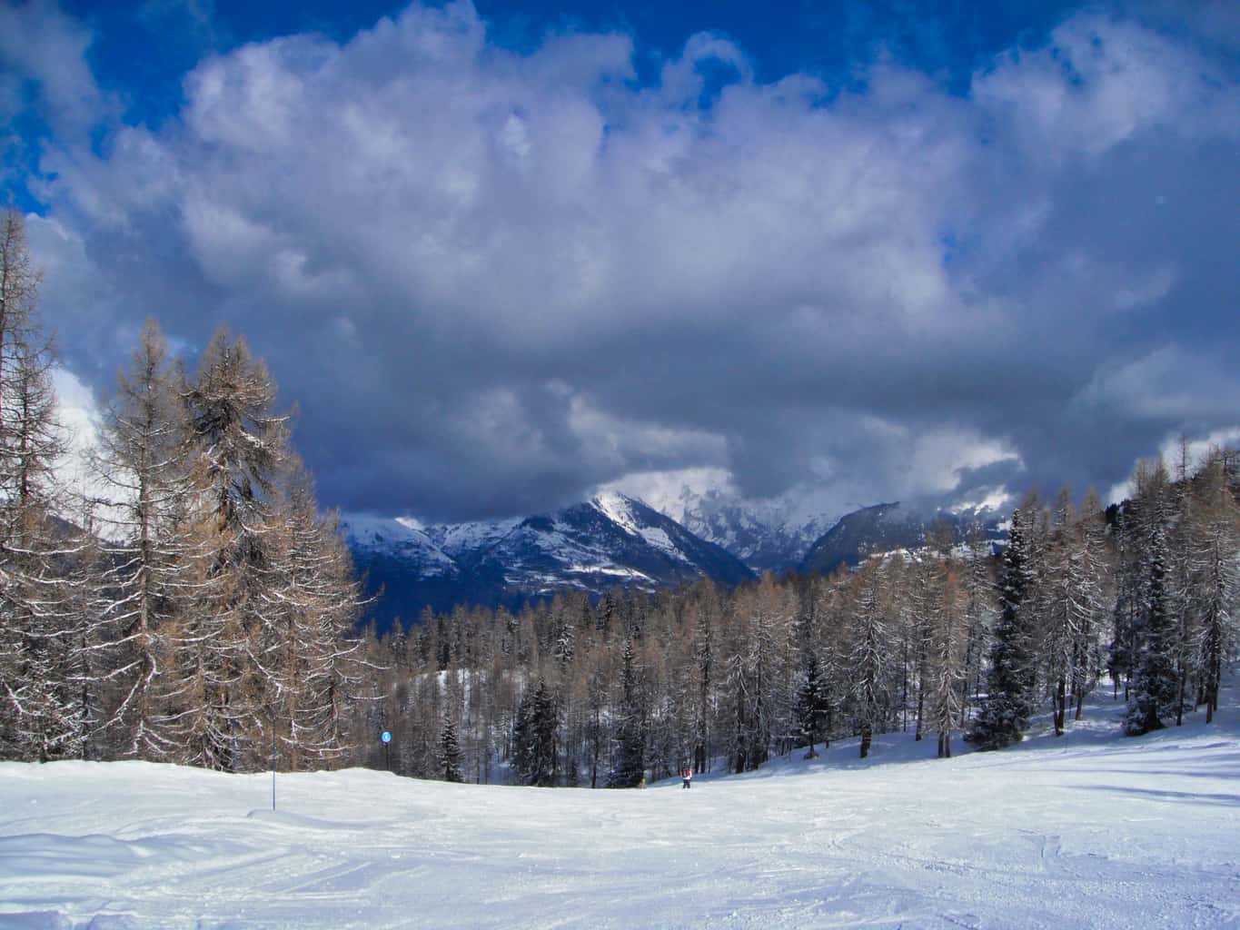 Ski slops with snowy trees with snowy mountains in the background
