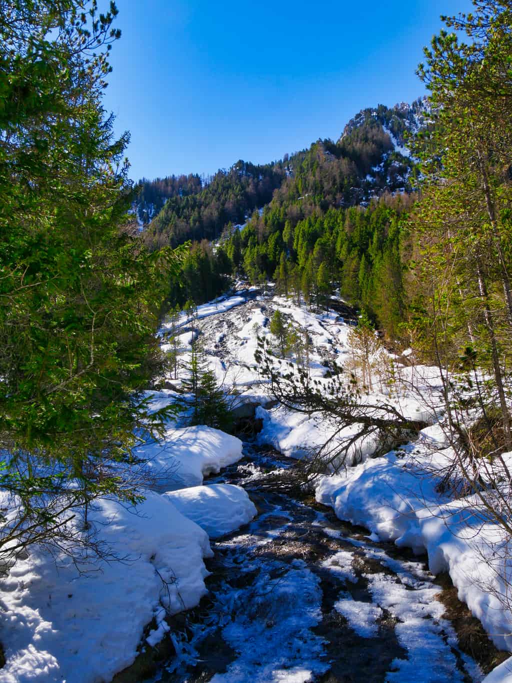 Snowy stream surrounded by green trees and deep blue sky