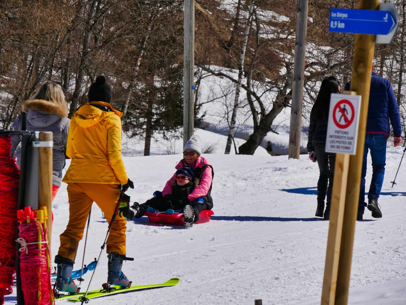 People sledging and skiing