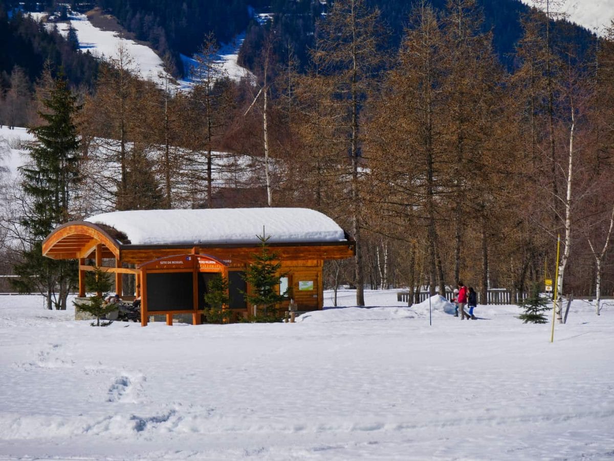 Wooden picnic hut covered in snow