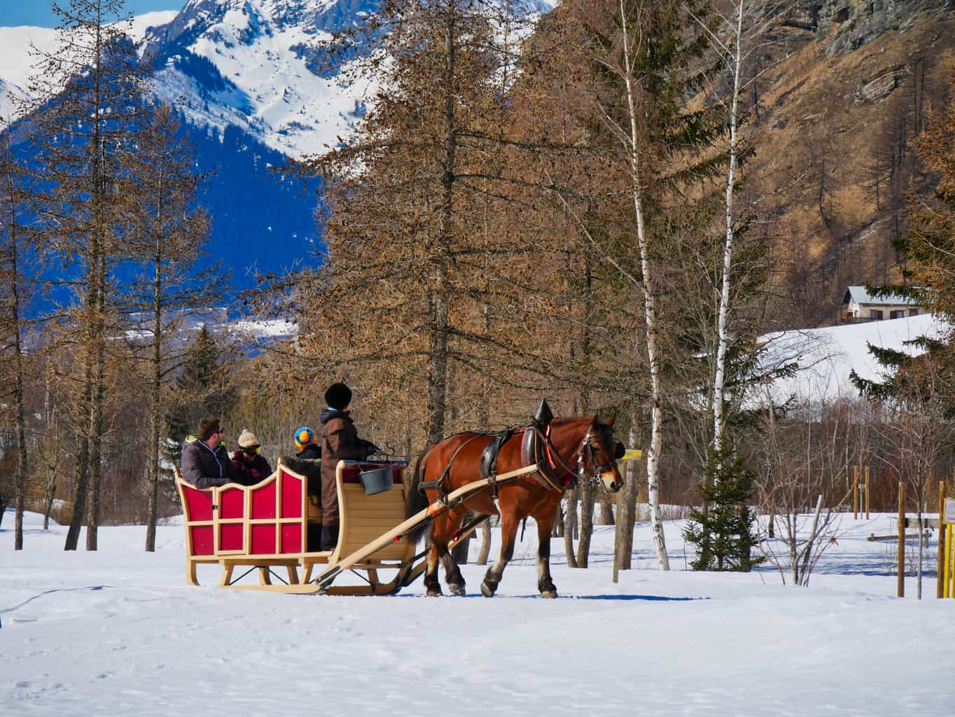 Horse pulling a sleigh in snow with mountains behind in Nordic Ski Area next to La Plagne