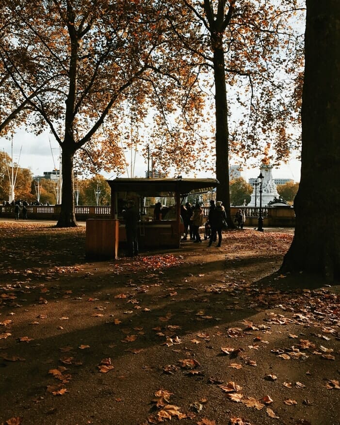Leaves on the ground with trees and a food stall in London