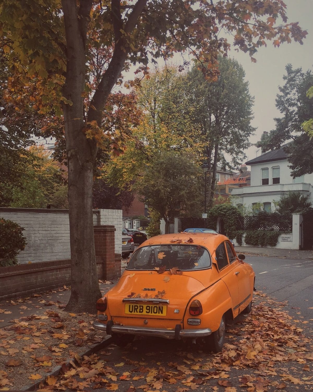 An old orange car under a tree with fall leaves around it