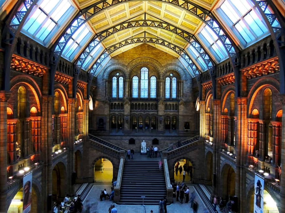 Natural History Museum London. Large room with stone steps and ceiling windows.