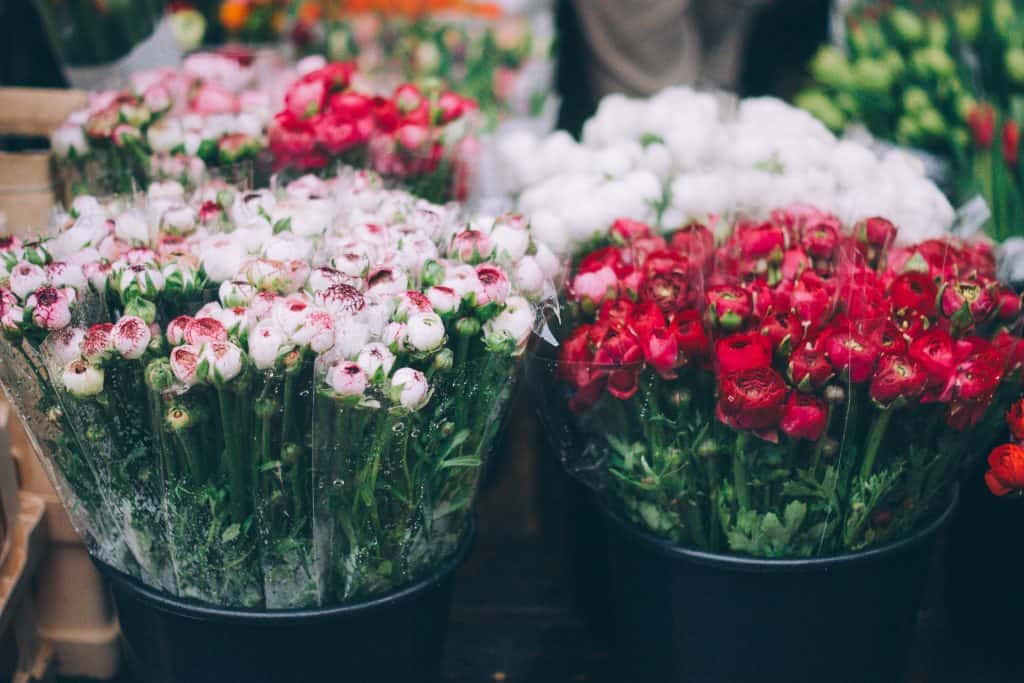 Red and pink flowers at a flower market