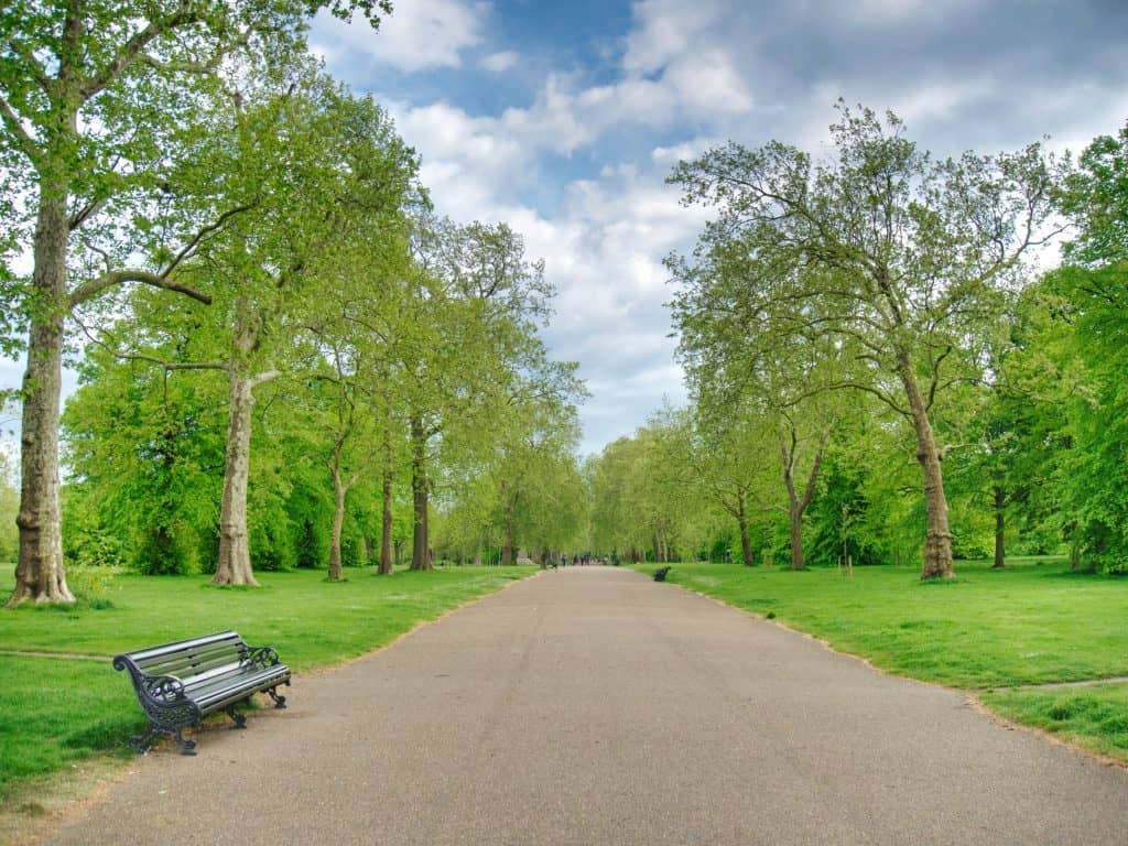 A bench on a path in Hyde Park, London, with trees eiher side and blue sky