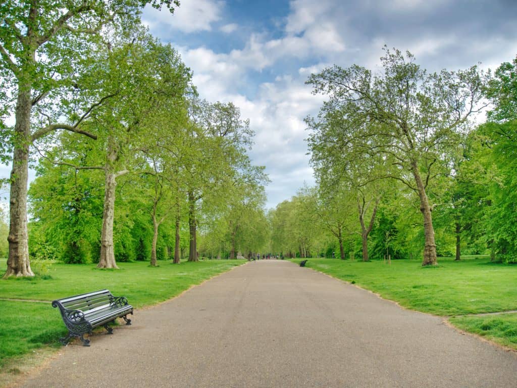 A bench on a path in Hyde Park, London, with trees eiher side and blue sky