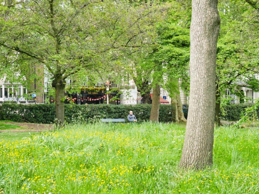 A man sitting on a bench in front of overgrown grass