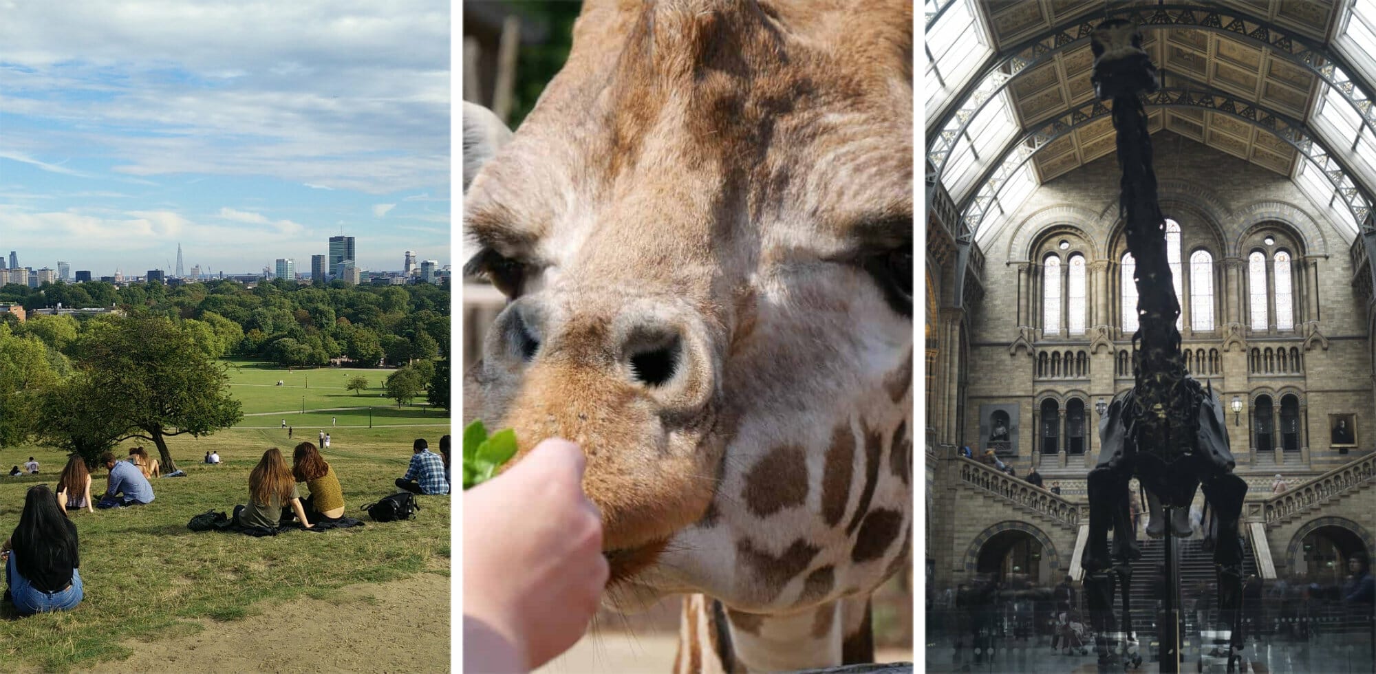 23 (Not Stressful) Best Things to Do with Toddlers in London via @girlsgonelondon