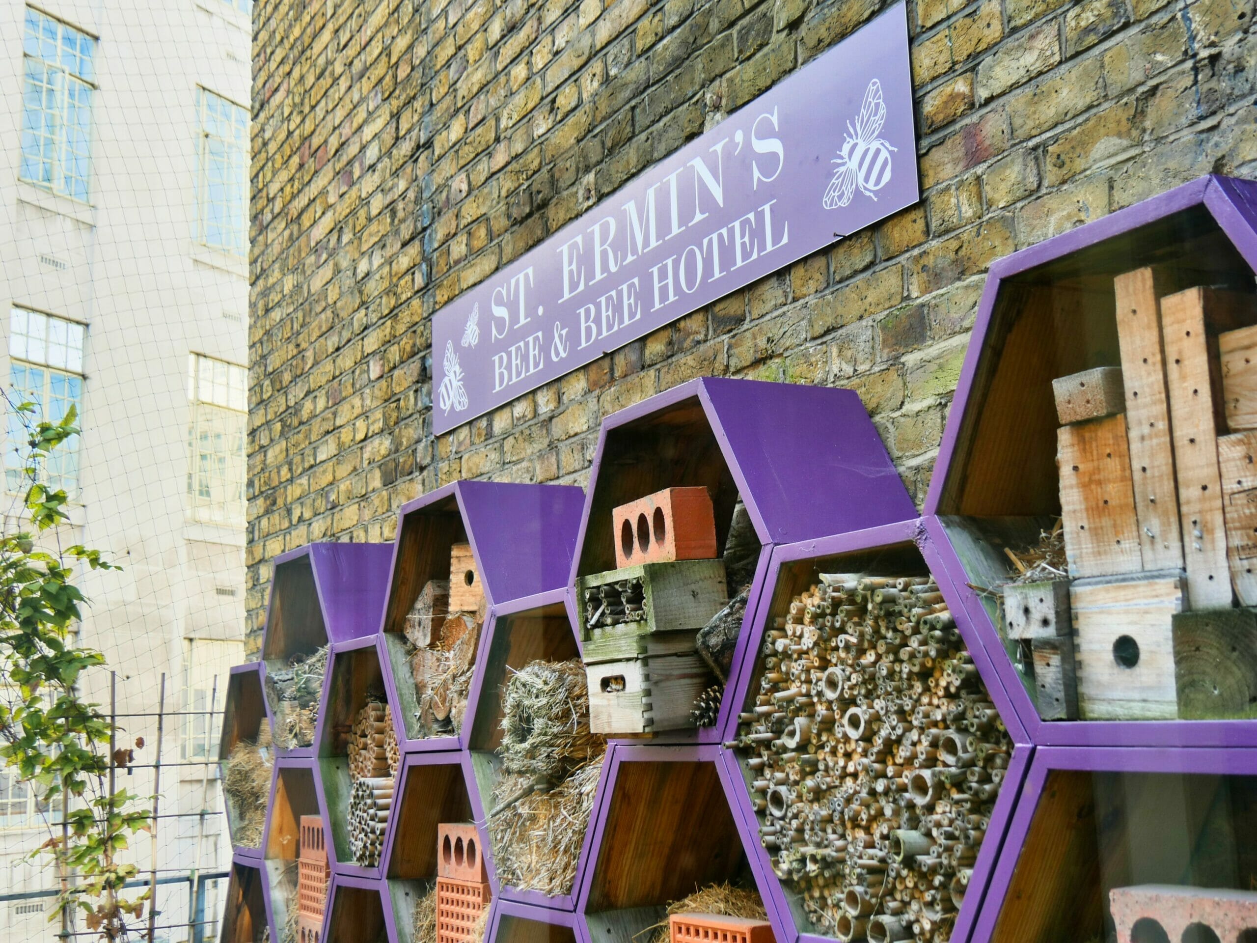The "Bee and Bee Hotel" at St. Ermin's Hotel - a set of bee houses on one of the top floors