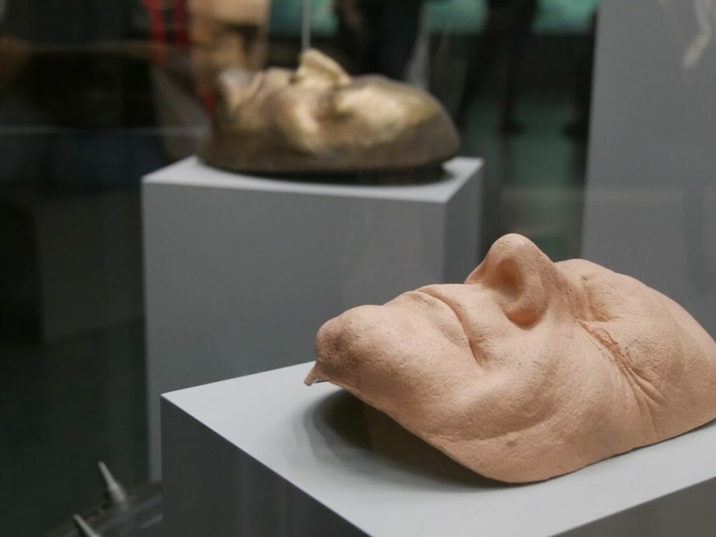 A latex mould of a face