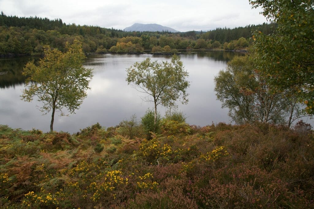 Lake in Betws-y-Coed Wales surrounded by trees