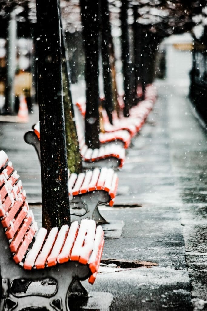Red benches in a line covered in snow