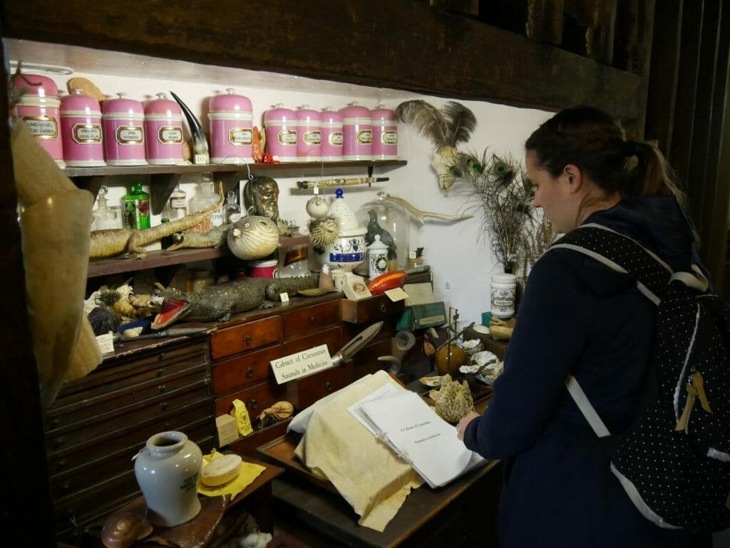 Kalyn looking at items at the Old Operating Theatre, London