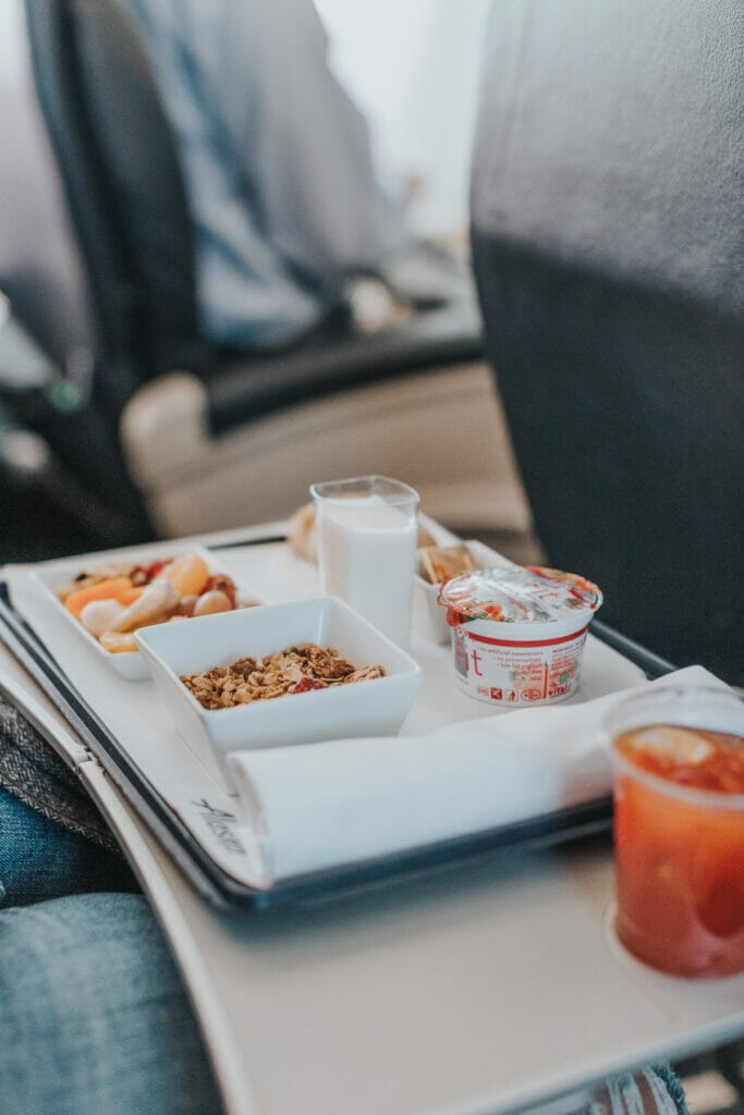 vegetarian meal on plane