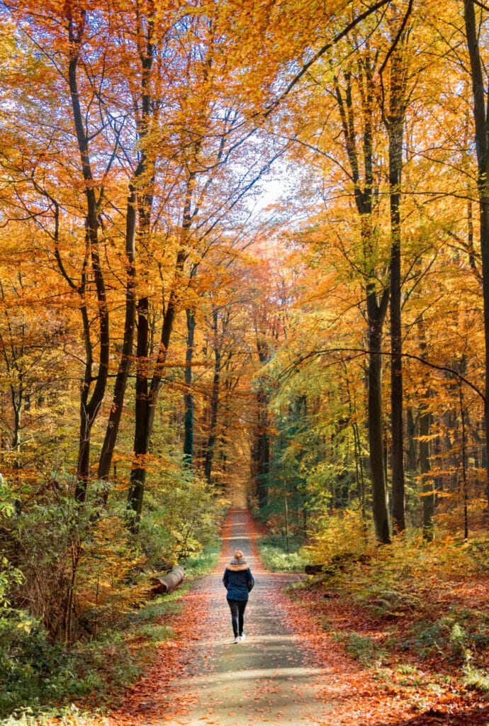 girl walking in a forest with autumn colors