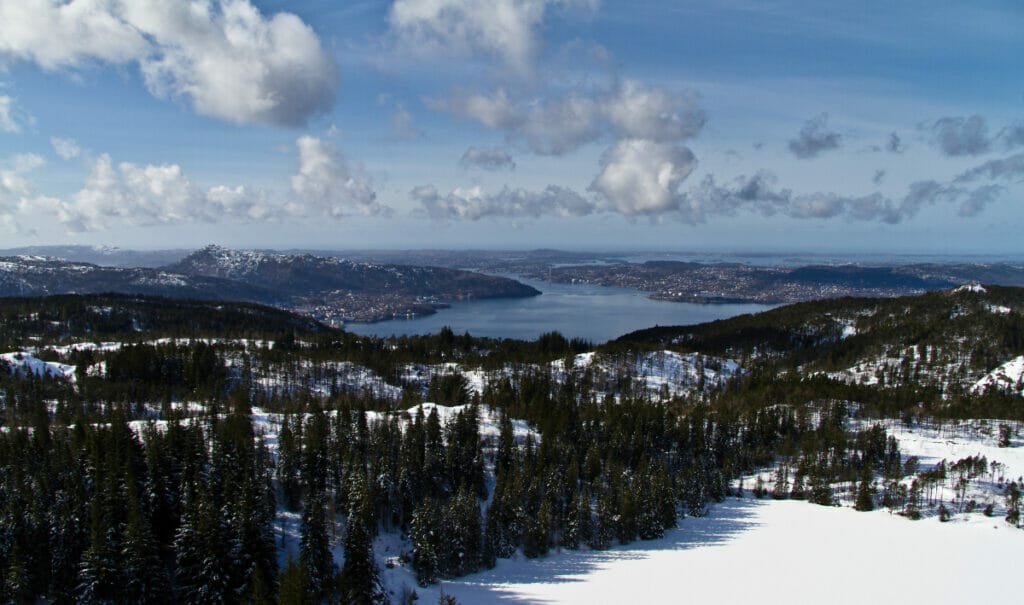 snow over the trees in Bergen in winter