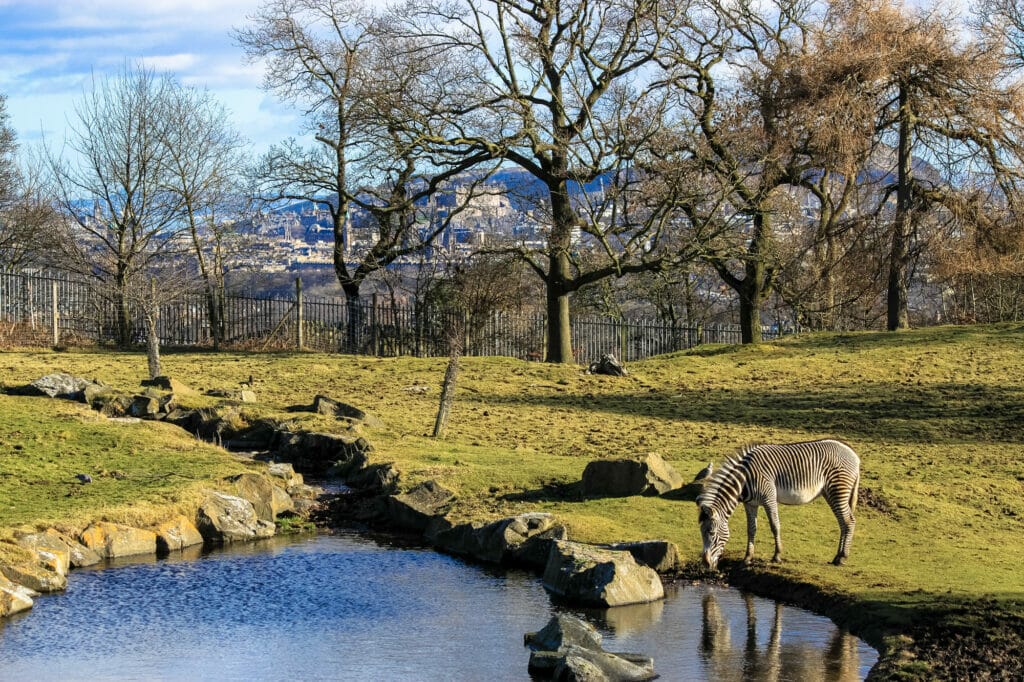 walking tour of edinburgh