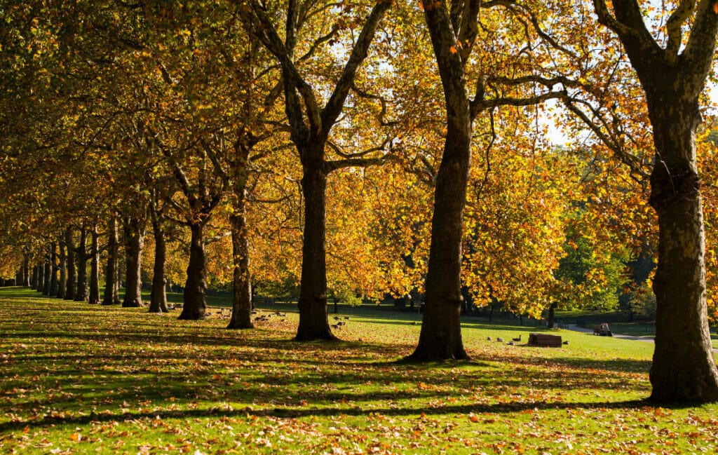 romantic day trip london