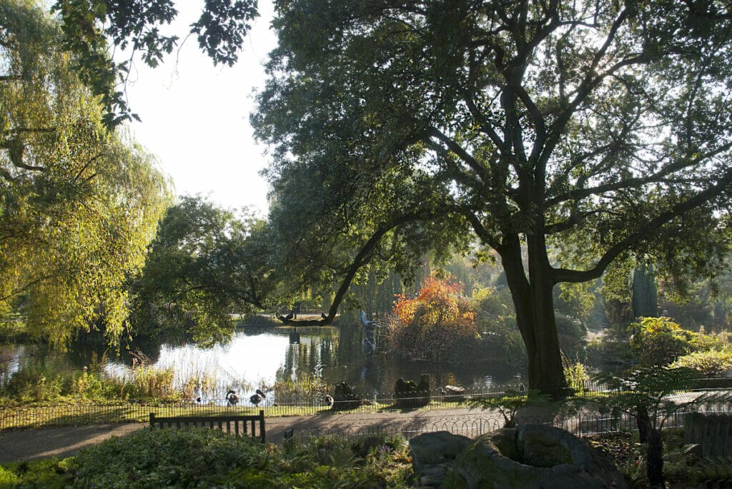 Regents park in London