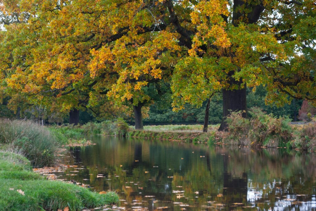 must visit parks in london