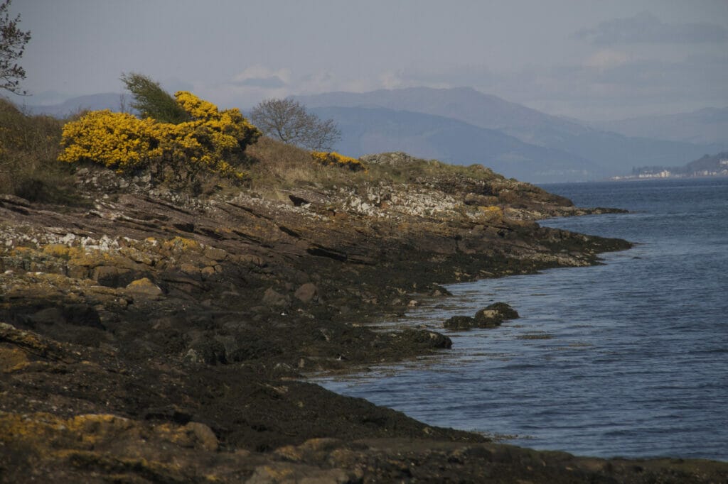 Great Cumbrae