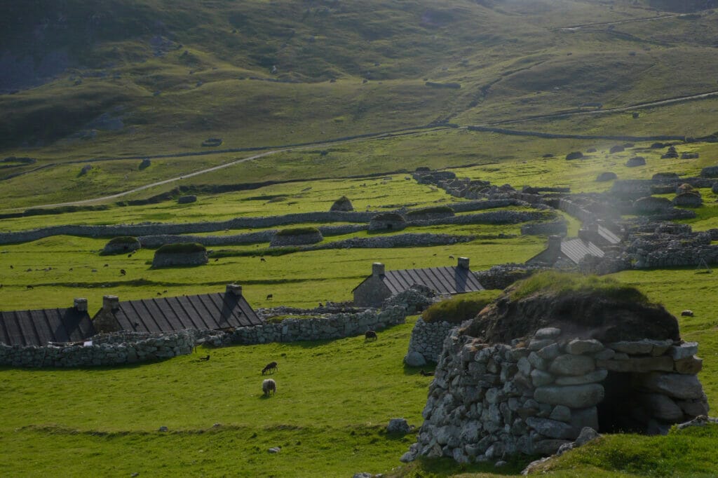 Hirta