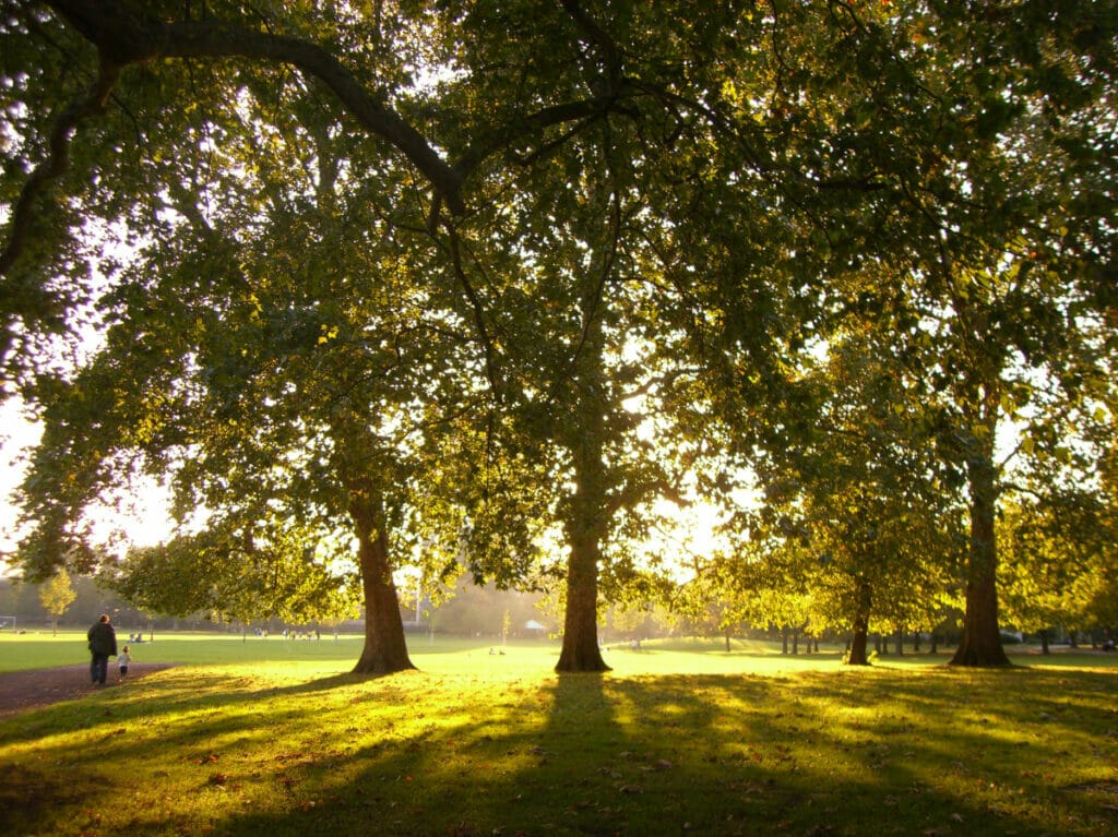 must visit parks in london