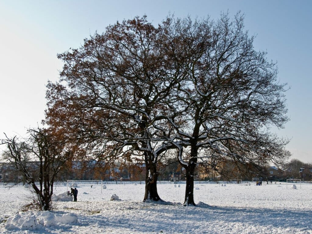 must visit parks in london