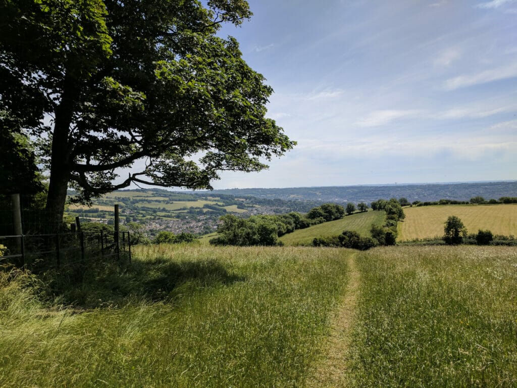 tour of cotswolds from london