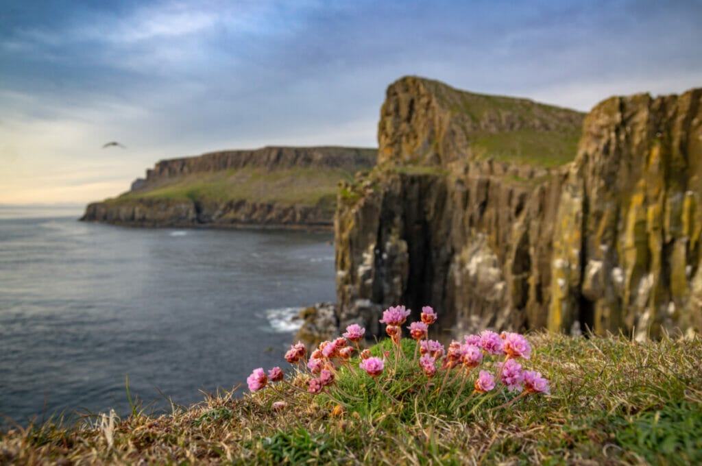 scotland skye island tour