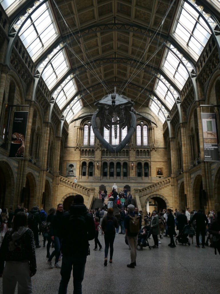 national history museum london tour