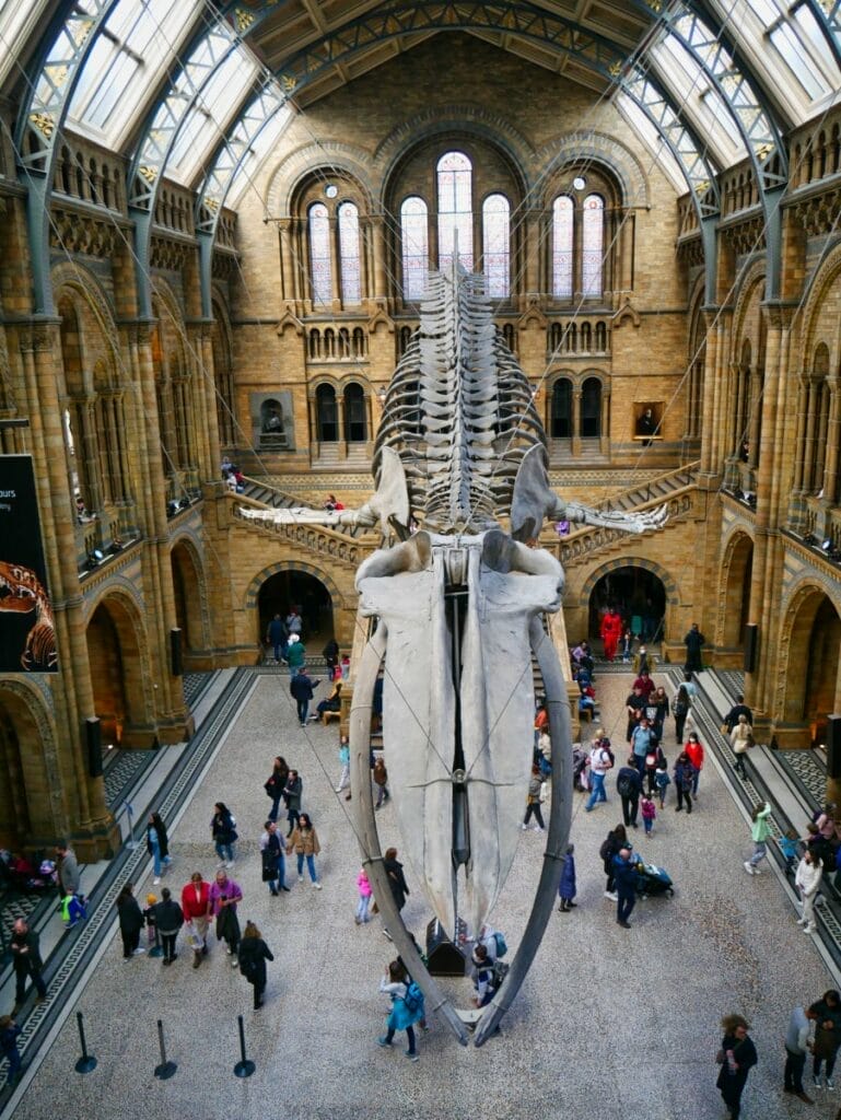 national history museum london tour